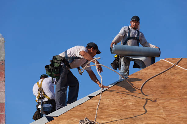 Best Roof Gutter Cleaning  in North Auburn, CA